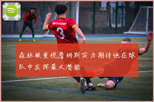 森林狼重视詹姆斯实力期待他在球队中发挥最大潜能